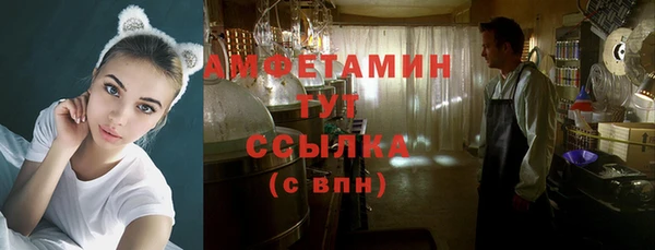 молекула духа Богородицк