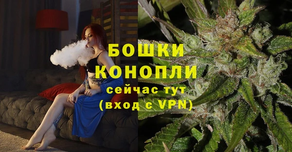 сатива Беломорск