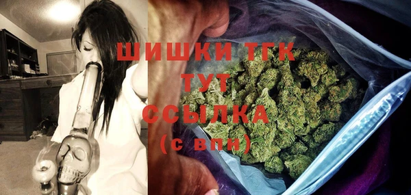 сатива Беломорск