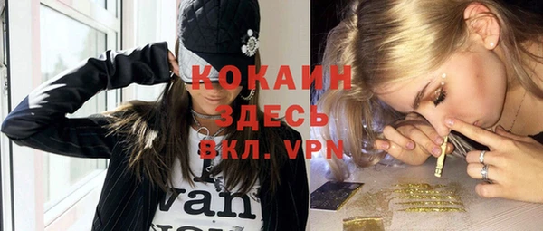 молекула духа Богородицк