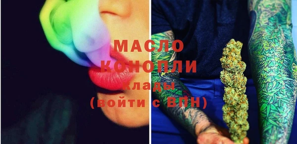 молекула духа Богородицк