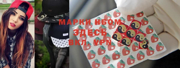 молекула духа Богородицк