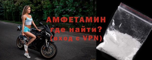 сатива Беломорск