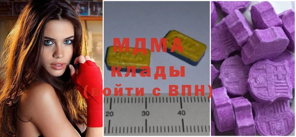 молекула духа Богородицк